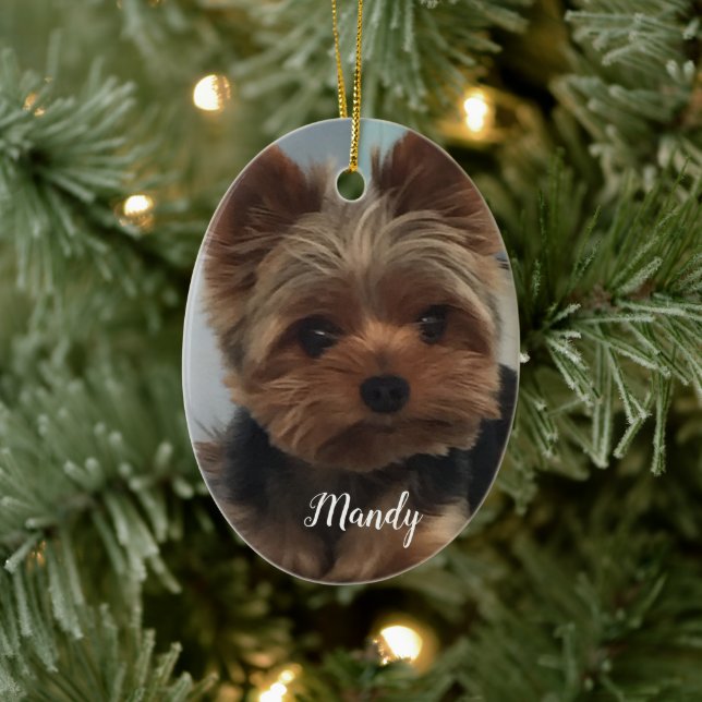 Oval Yorkie Ornament (Träd)