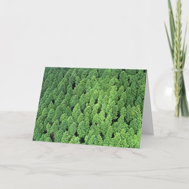 Ovanför skogen kort (Framsida)