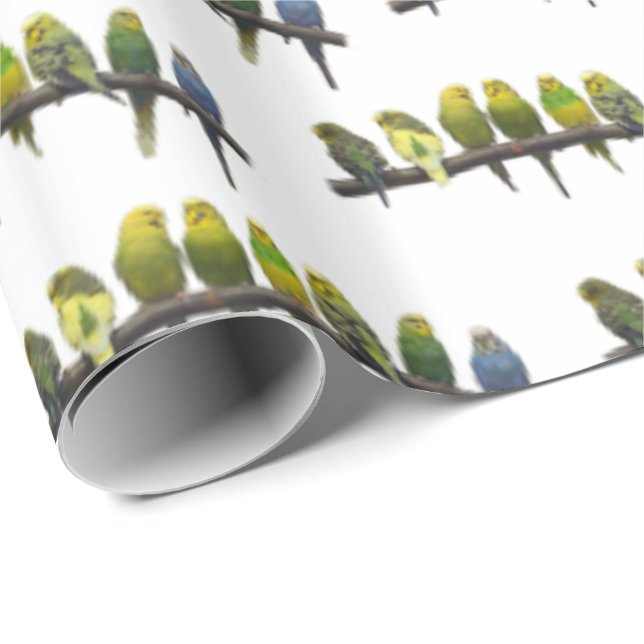 Ovanlig presentpapper (välj färg) (Rullad Hörn)