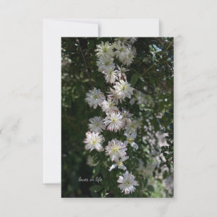 Ovanlig tid än Clematis Anteckningskort