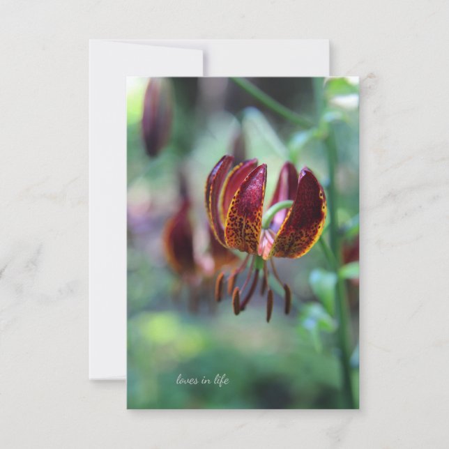 Ovanlig Tiger Lily Anteckningskort (Framsida)