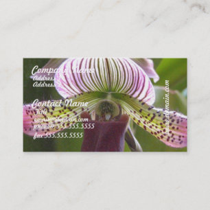 Ovanliga Orchidvisitkortar Visitkort