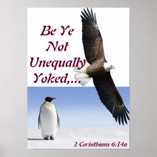 Ovanligt. Poster