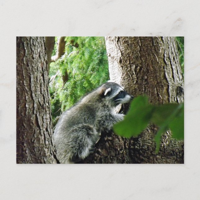 Oväntad besökare, #6 vykort (Framsida)