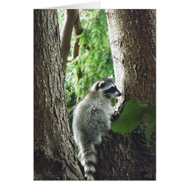 Oväntad besökare OBS kort (Framsidan)