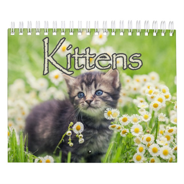 Ovärdiga kattungar och Ord Kalender (Omslag)
