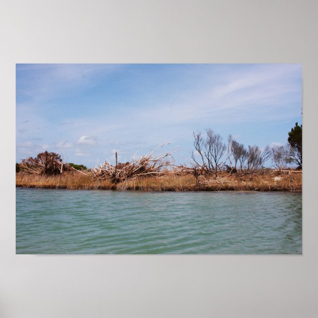 Övegetation 1 poster (Framsidan)