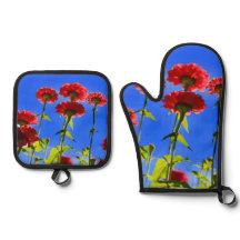 Oven Mitt och Pot Holders