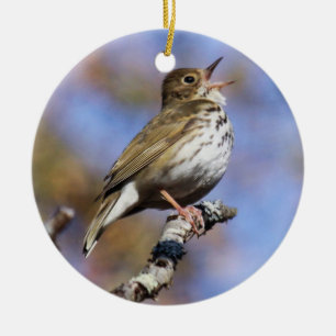Ovenbird Julgransprydnad Keramik