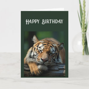 Över Backe: Allvarligt stort katt Nap Kort