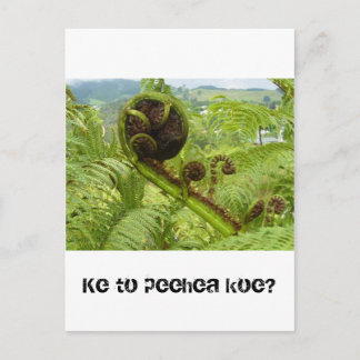 Över Canopy: Kiwiana Vykort