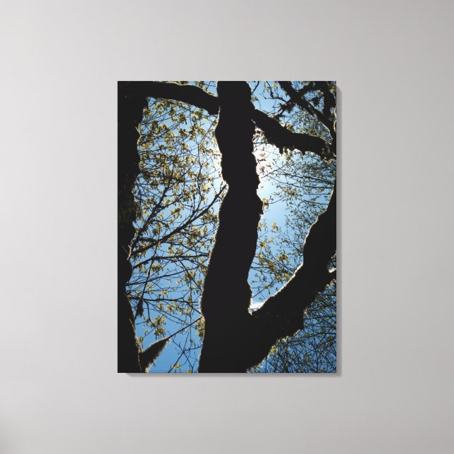 ÖVER CANVASTRYCK (Framsida)