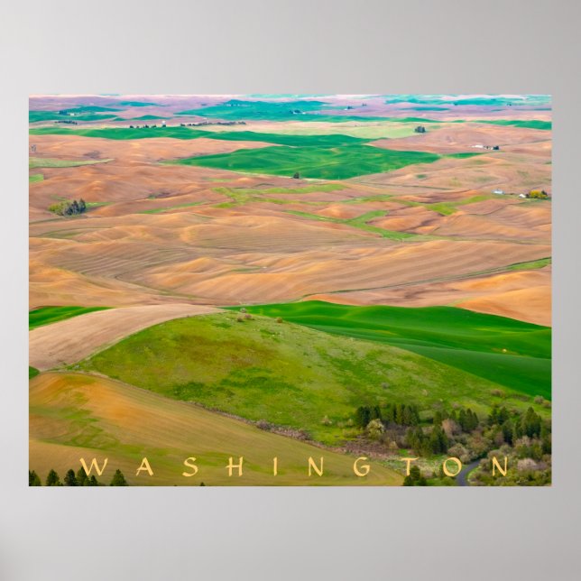 Över den målade handusen från Steptoe Butte Poster (Framsidan)