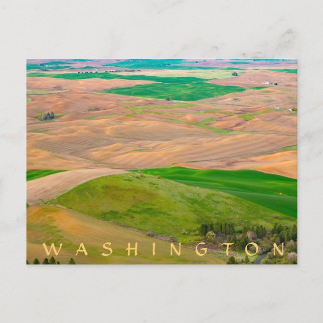 Över den målade handusen från Steptoe Butte Vykort (Framsida)