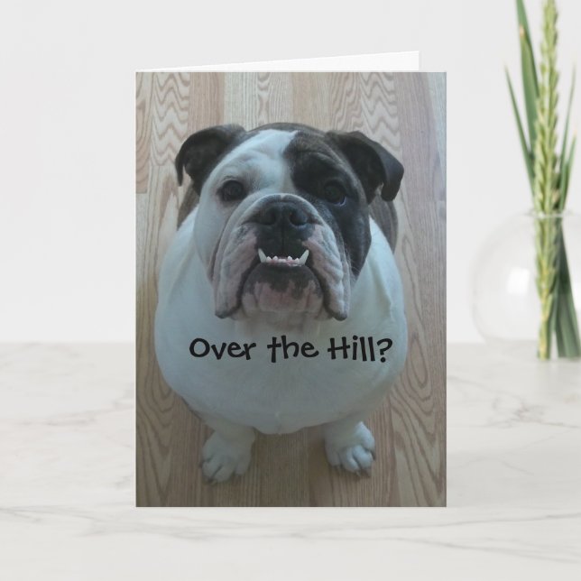 Över engelska Bulldog Birthday Card i Backe Kort (Framsida)
