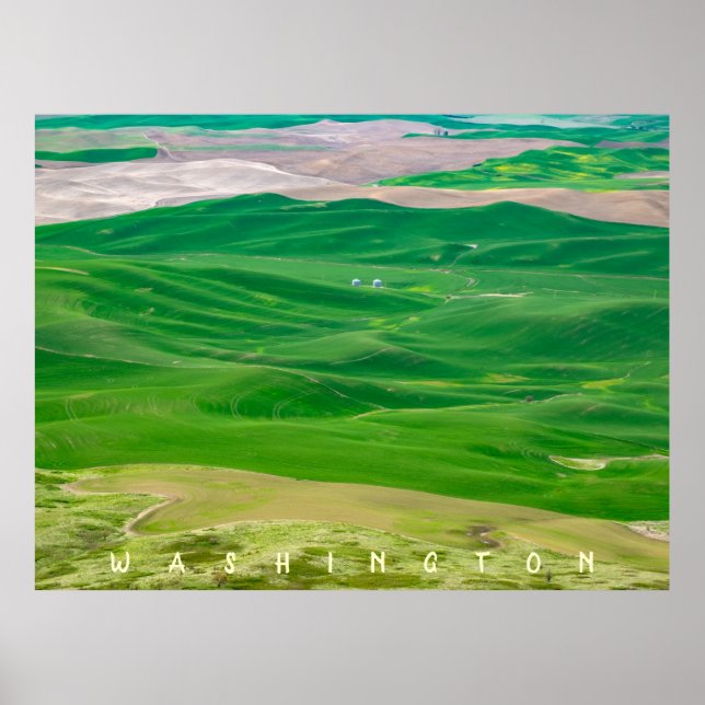 Över Grönten Palouse från Steptoe Butte Poster (Framsidan)