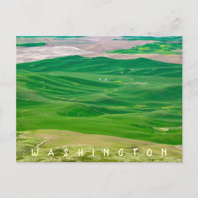 Över Grönten Palouse från Steptoe Butte Vykort (Framsida)