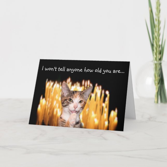 Över kattfödelsedagen i backe kort (Framsida)