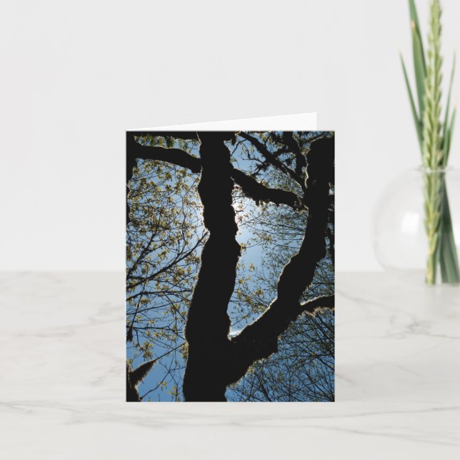 ÖVER KORT (Framsida)