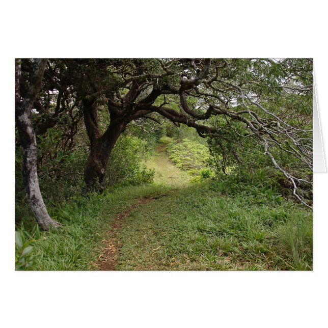 Över Manoa Valley Hälsningskort (Framsidan Horizontal)