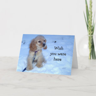 ÖVER MILES-SPANIEL SÄGER GOD JUL HELGKORT