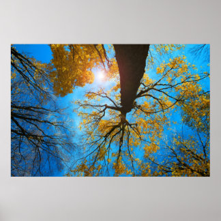 Över mitt huvud poster