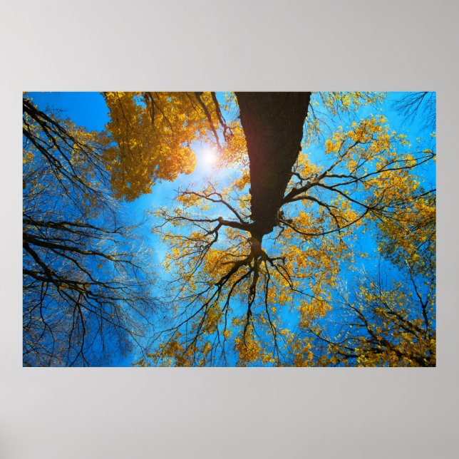 Över mitt huvud poster (Framsidan)