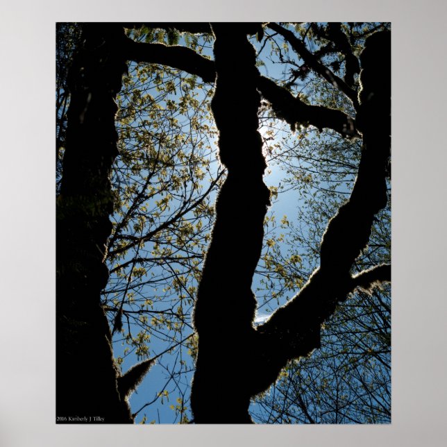 ÖVER POSTER (Framsidan)