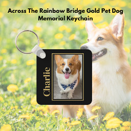Över Rainbow Bridge Guld Pet Hund Memorial Nyckelring