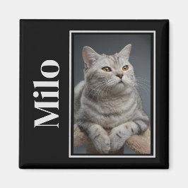 Över regnbågsbron Silver Pet Cat Memorial Magnet