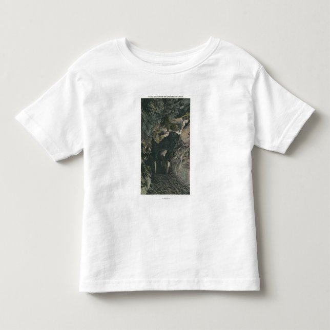 Överbrygga balanserar Under sten beskådar T-shirt (Framsida)