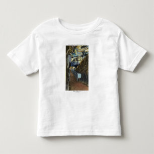 Överbrygga över balanserad sten för svalg tee shirt