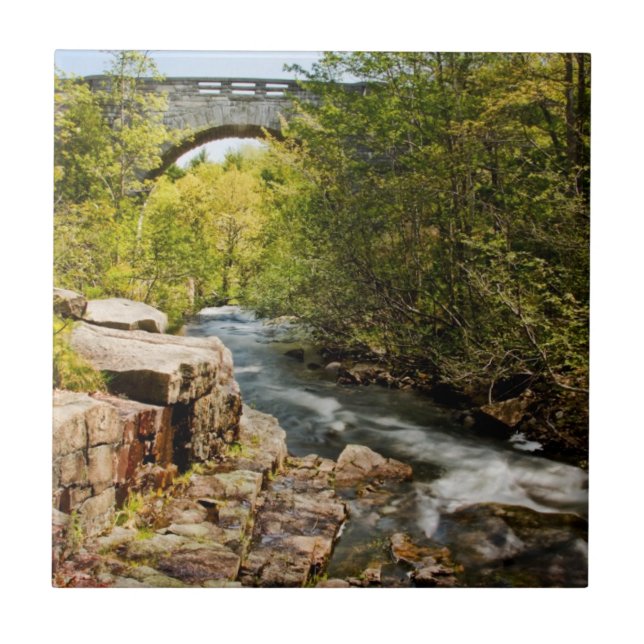 Överbrygga över floden kakelplatta (Framsidan)