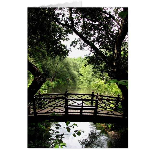 Överbrygga över fridsamt vatten OBS kort (Framsidan)