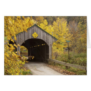Överbygd bro, Vermont, USA 2 Hälsningskort