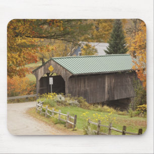 Överbyggd bro, Vermont, USA Musmatta