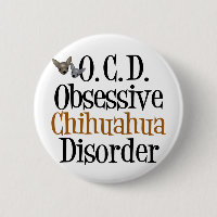 Överdriven Chihuahua