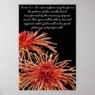 Överensstämmelse ej längre poster