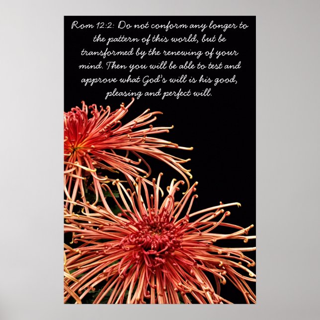 Överensstämmelse ej längre poster (Framsidan)