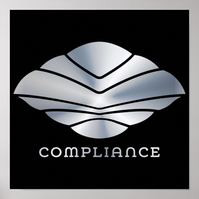 ÖverensstämmelseMAX från flygning med navigatören Poster (Framsidan)