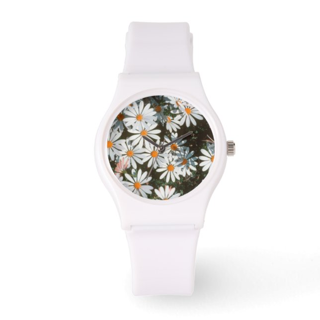 Överflöd av vita tusensköna (Asteraceae) Armbandsur (Framsida)