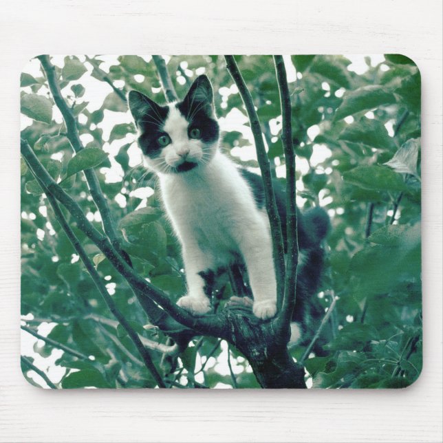 Överflödighet av arrogans musmatta (Framsidan)