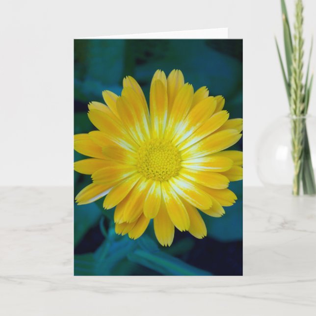 Överför blomman till dina vänner som sist kort (Framsida)