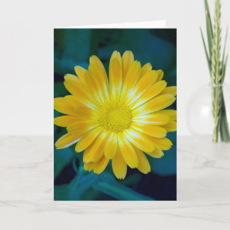 Överför blomman till dina vänner som sist kort