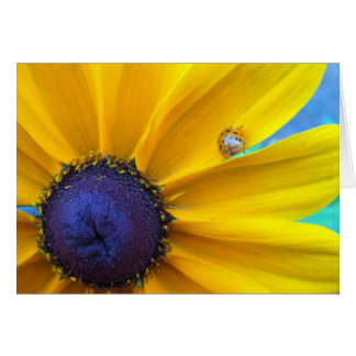 Överföra dig något solsken hälsningskort