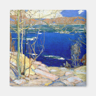 överföring magnet