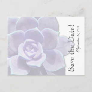Övergående Lilac Succulent sparar datumet Meddelande Vykort