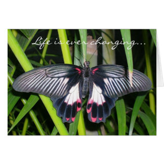 Övergång, förändring av livslängd hälsningskort