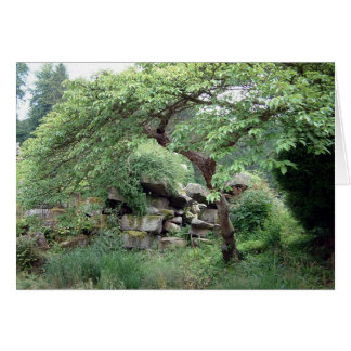 Övergångbarhet Hälsningskort