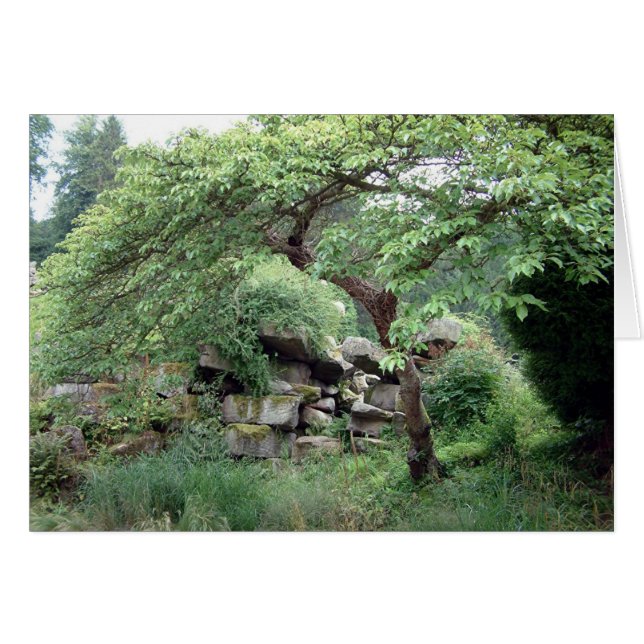 Övergångbarhet Hälsningskort (Framsidan Horizontal)